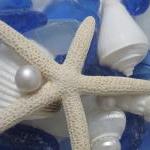 Seashell Mirrors For Beach Decor - Nautical Shell..