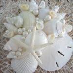 Beach Decor Seashell Box Set Of 3 - Nautical Decor..