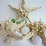 Nautical Decor Starfish - Beach Decor Natural..