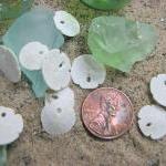 Seashell Beach Decor - Small Sand Dollars For..