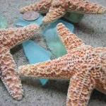 Starfish Beach Decor - Nautical Decor, Beach..