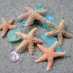 Starfish Beach Decor - Nautical Decor, Crafts, Or..
