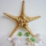 Beach Decor Starfish - Nautical Decor Brown Knobby..
