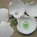 Sea Shells For Beach Decor - Nautical Decor Irish..