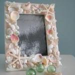 Beach Decor Seashell Frame - Nautical Shell Frame..