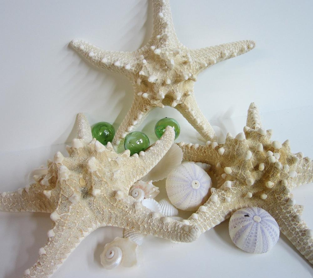 Nautical Decor Starfish - Beach Decor Natural White Knobby Starfish, 6-8in
