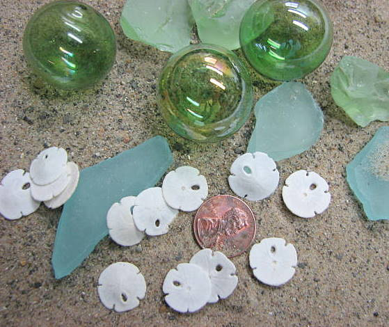 Beach Decor Sand Dollars For Crafts, Nautical Decor Or Jewelry, 1