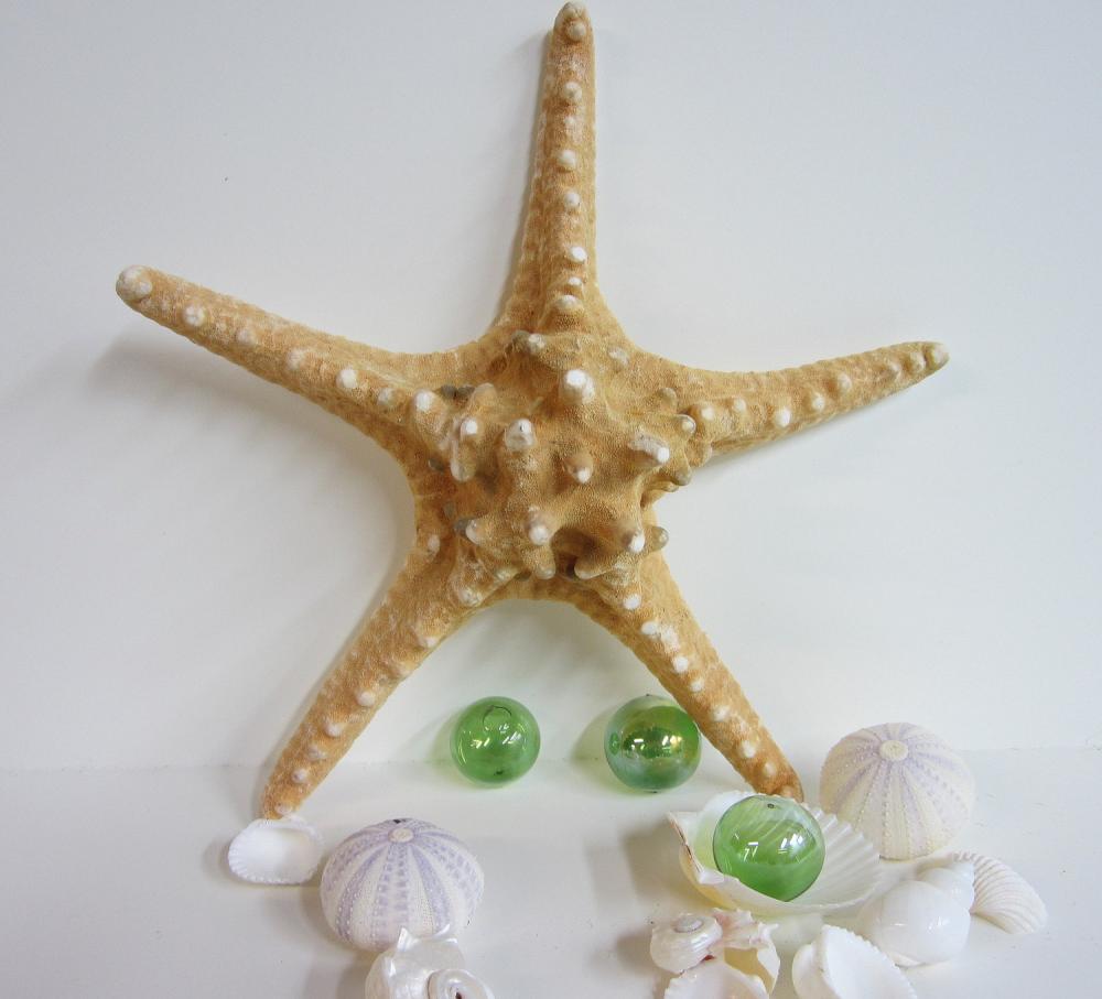 Beach Decor Starfish - Nautical Decor Brown Knobby Xl Starfish, 8-10 Inch