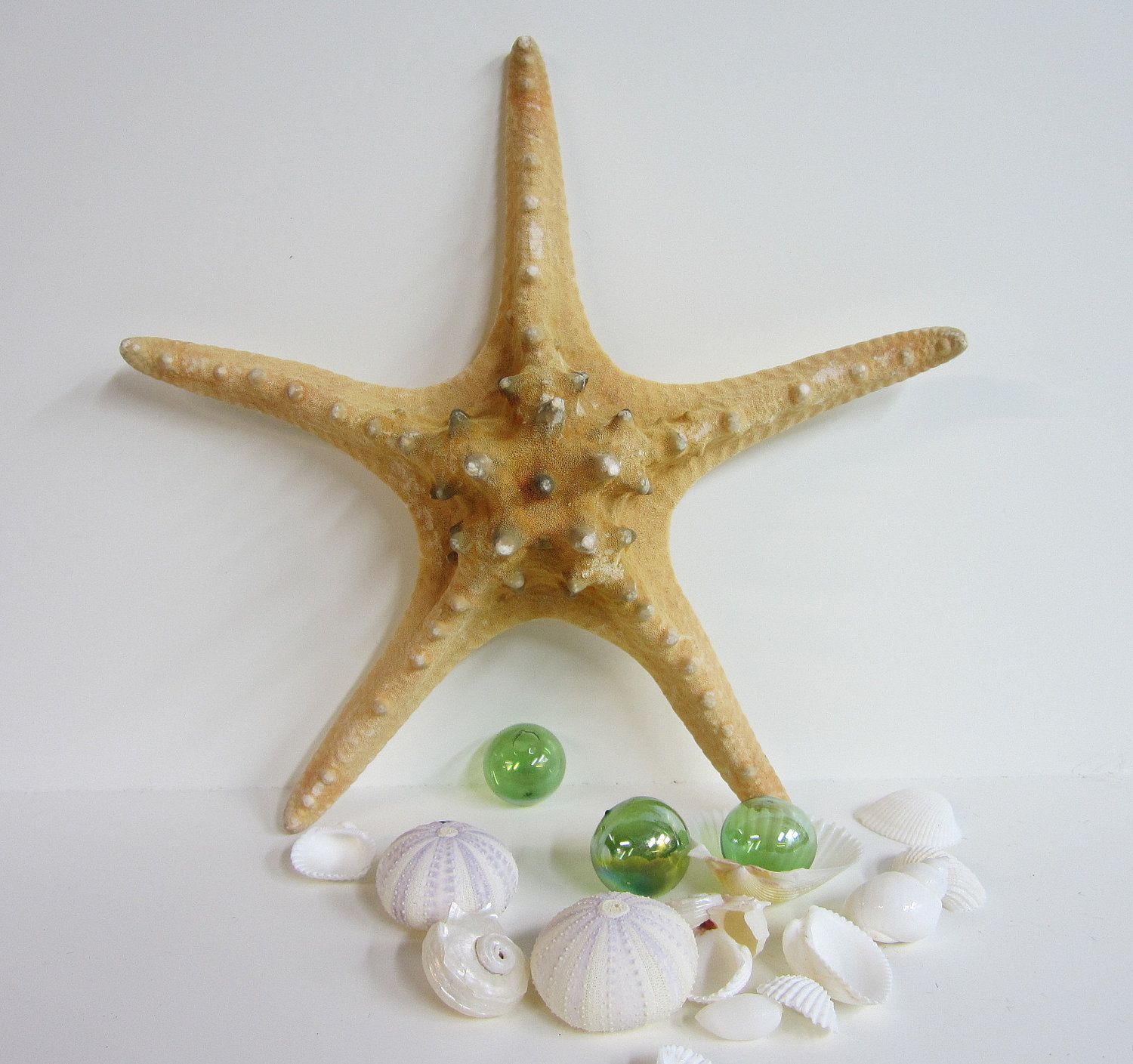 Beach Decor Starfish Nautical Decor Brown Knobby Xxl Starfish, 1012 Inch on Luulla